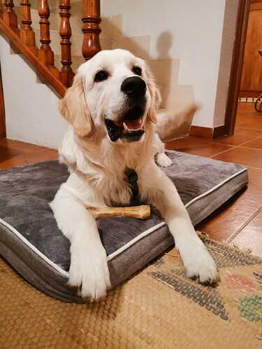 IMG-20231231-WA0014