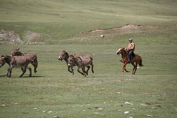 IMG_6576