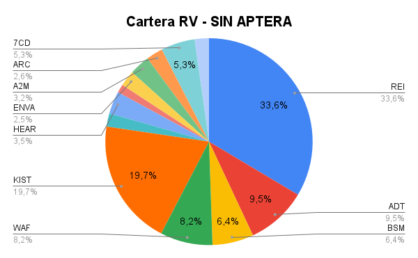 Cartera RV - SIN APTERA