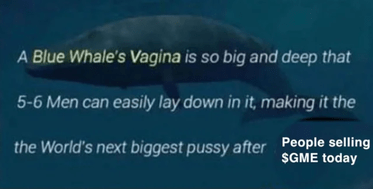 reddit