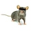 AnoniMouse