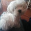 miguel_angel_sanz